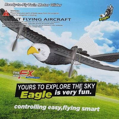 405mm Simulation Wingspan Flying Eagle Aircraft 2.4g Radio Control Plane for Entertainment