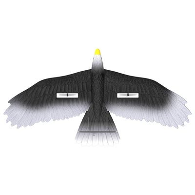 3 Led Light Easy Play 56cm Epp Material Electric Rc Eagle Glider With Remote Outdoor Play for the Whole Family